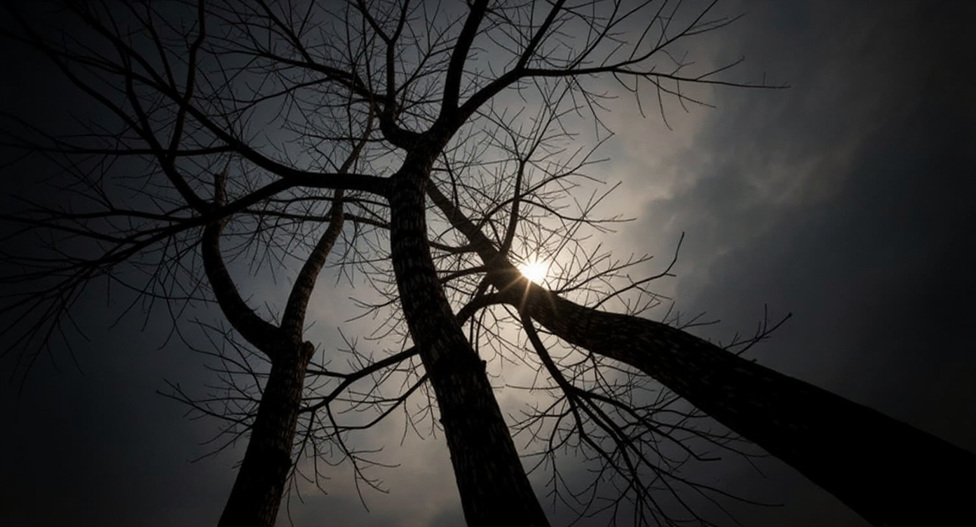 The Growth of Sage and Harmony